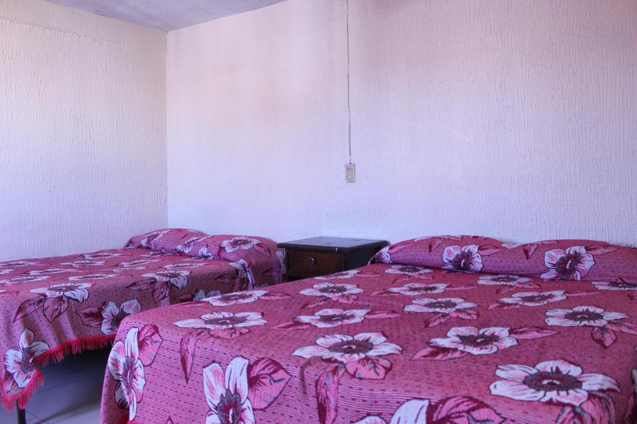 Hotel Plaza Aleman Leon Bagian luar foto